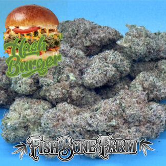 Hash Burger (Indica)