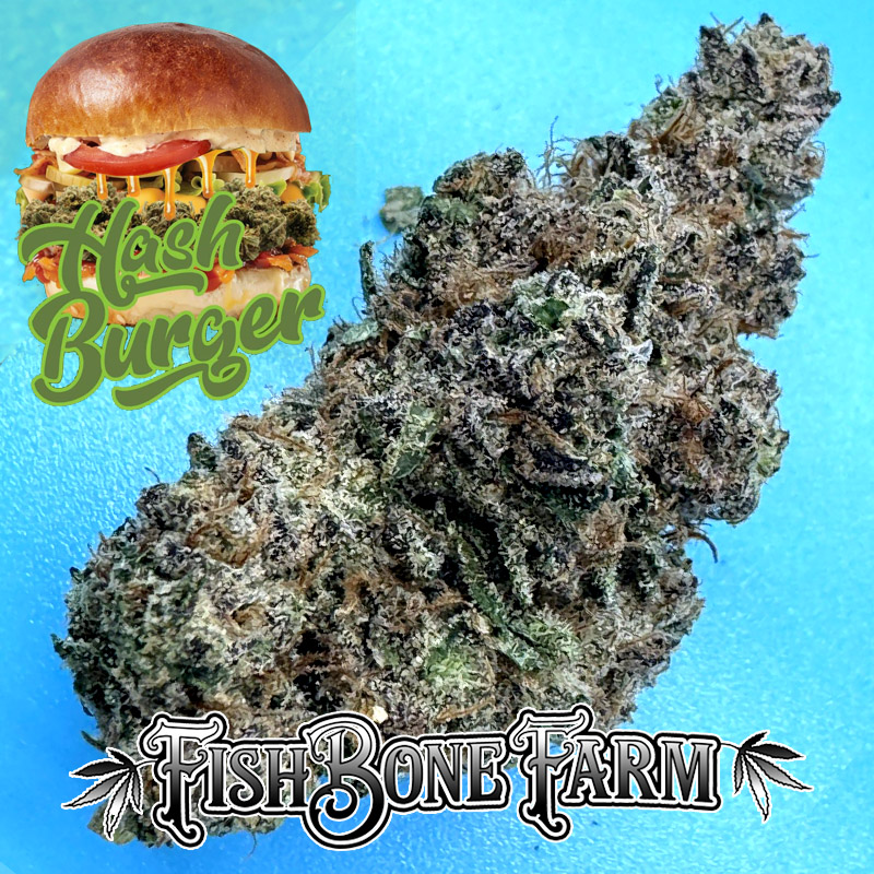 Hash Burger (Indica) - Image 2