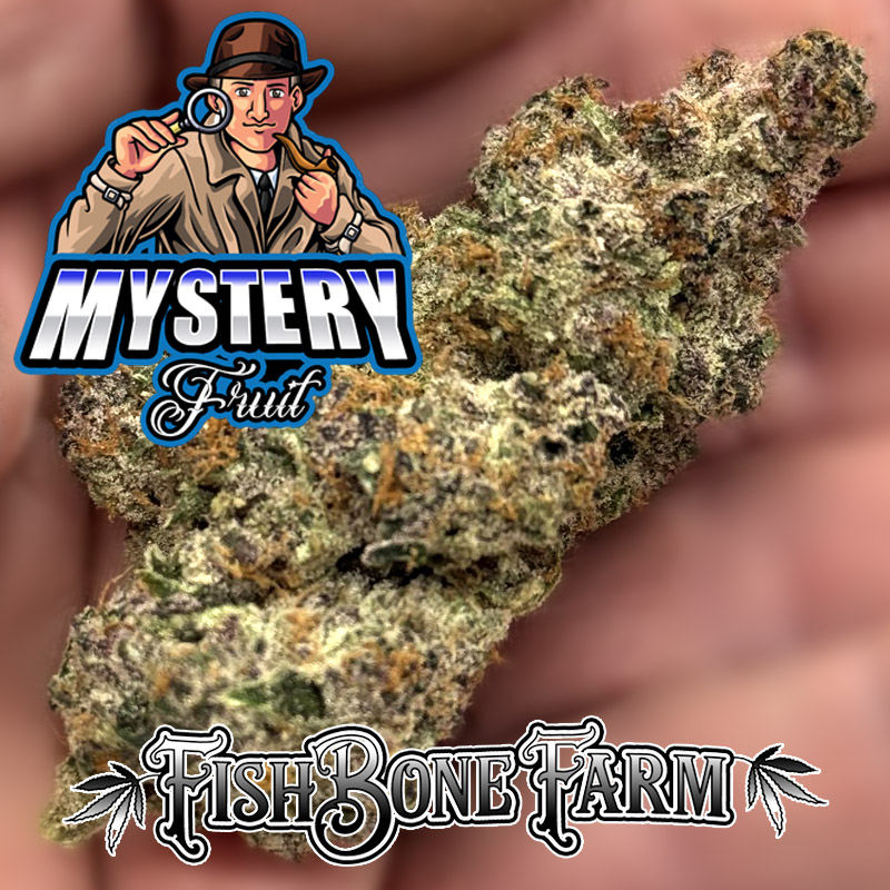 Mystery Fruit (Sativa) - Image 2